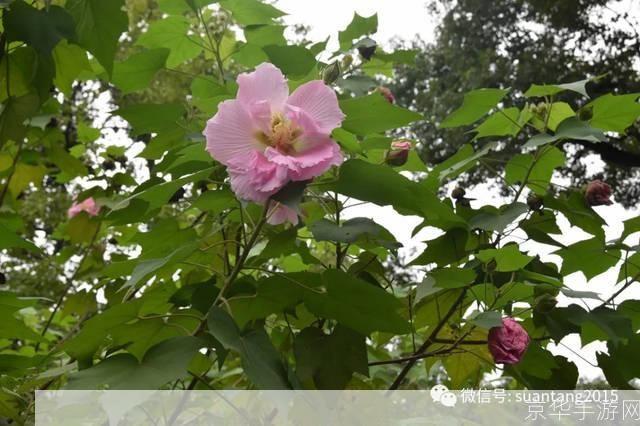 详细步骤指南：如何安装和使用聚宝库