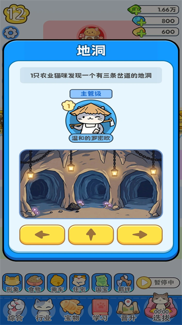 我在猫村搞事业