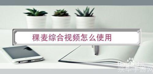 稞麦综合视频怎么用: 稞麦综合视频的使用方法详解