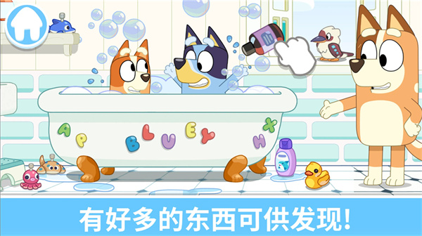 布鲁伊一起玩吧