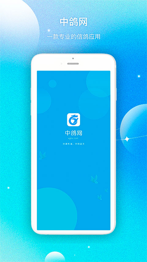 中鸽网