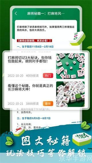 哈灵麻将安卓版官网使用指南