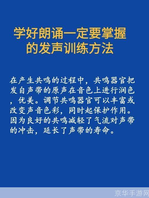 掌握广播软件的使用方法：从新手到专家