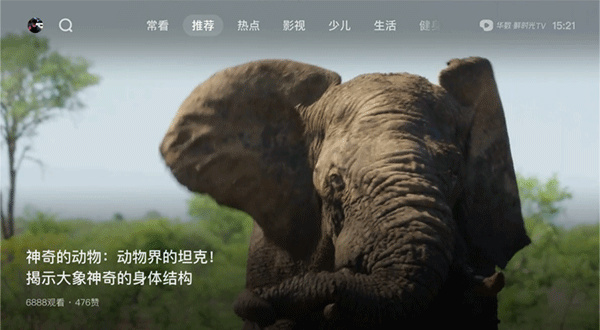 西瓜视频app