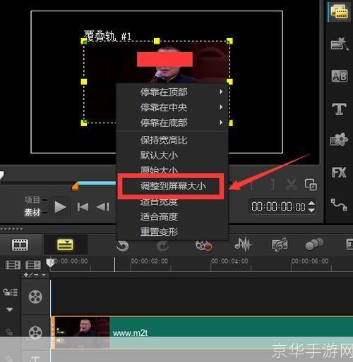 会声会影教程怎么用: 会声会影教程：一步步教你如何制作专业级视频