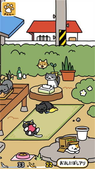 猫咪后院2游戏