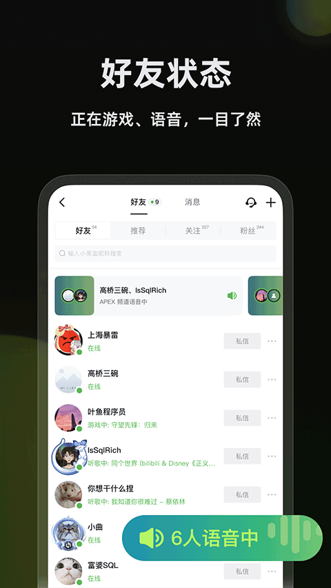 黑盒语音网页版