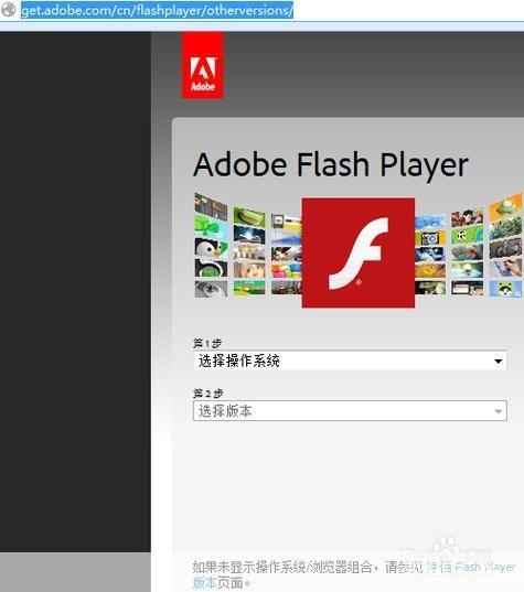 flash player 播放器: Flash Player播放器：过去、现在与未来