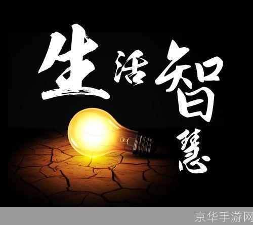 大家庭的生活智慧：如何有效管理和协调