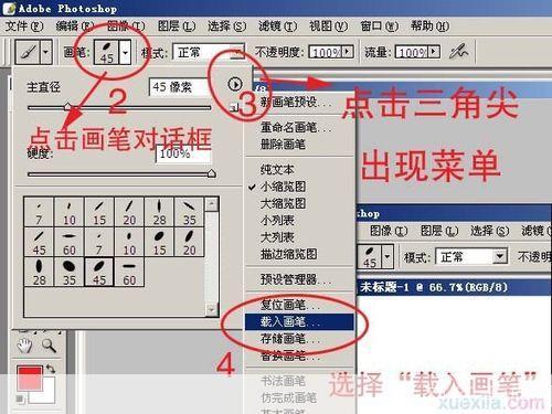 笔刷怎么安装: 详解笔刷安装步骤，让你的绘画工具更强大
