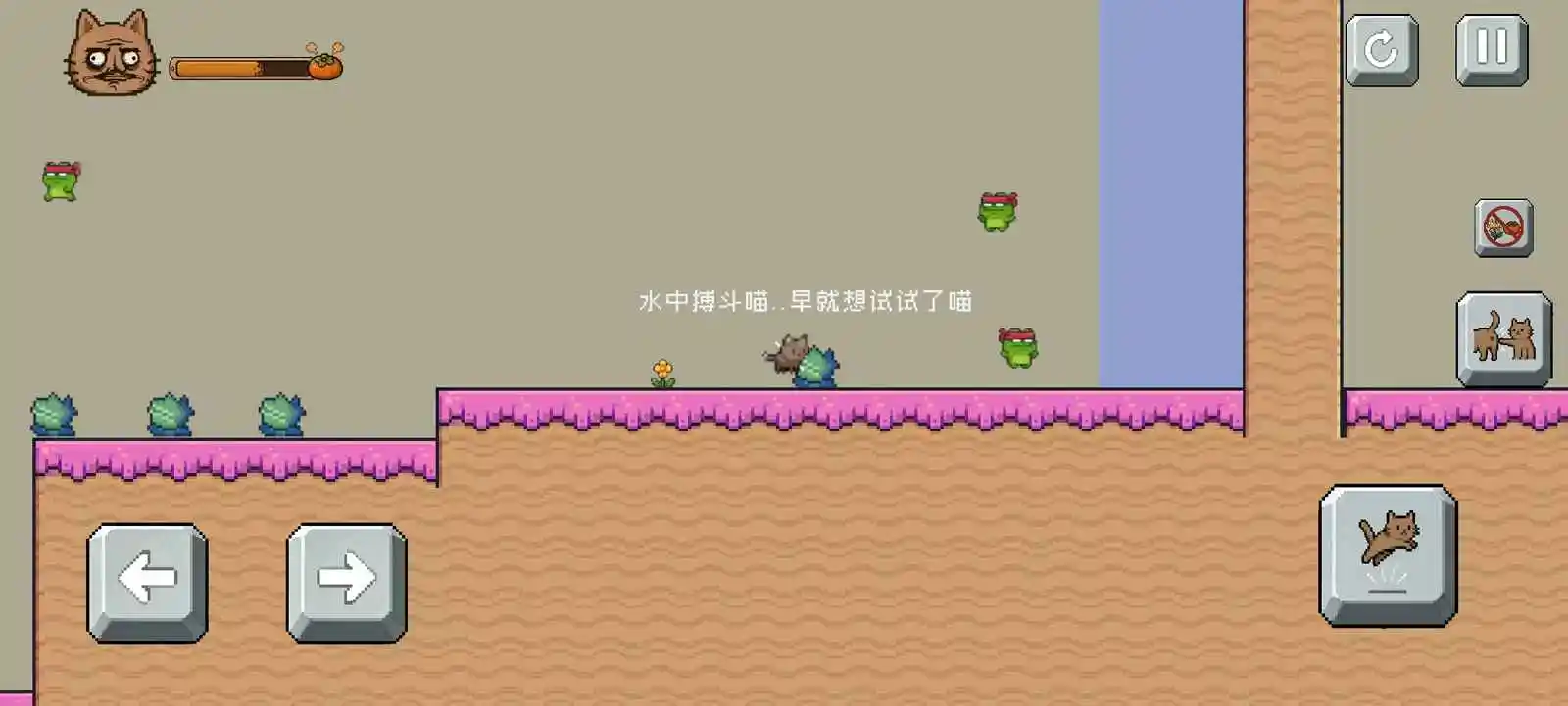 药柿了喵