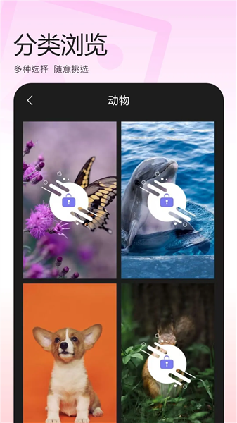 百变换壁纸
