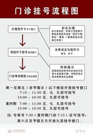 详细步骤指南：如何安装和运行主题医院3