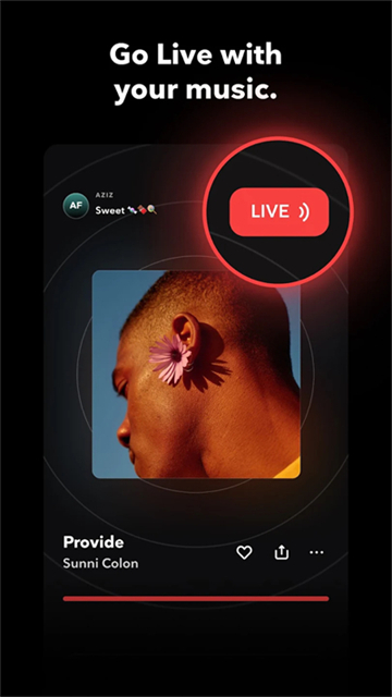 tidal app