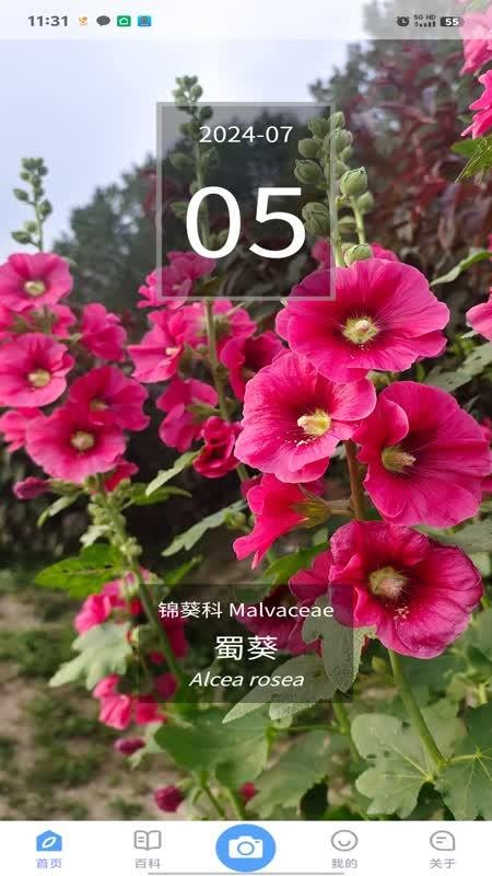 花伴侣专业版
