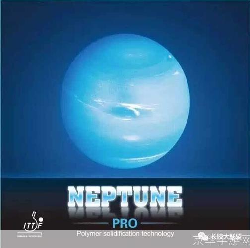 详细步骤指南：如何安装海王星软件