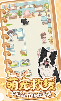糖果猫