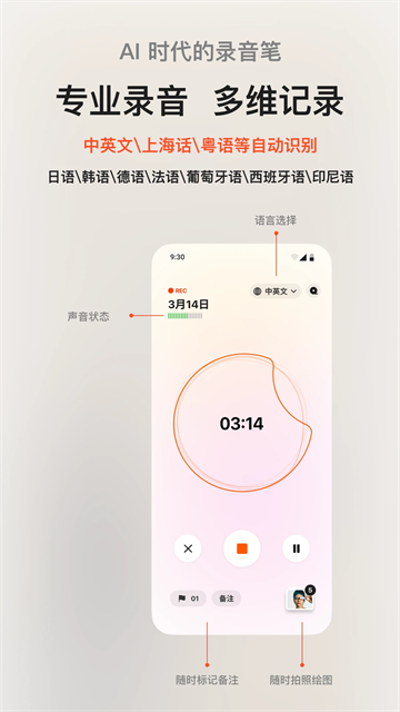 闪念贝壳