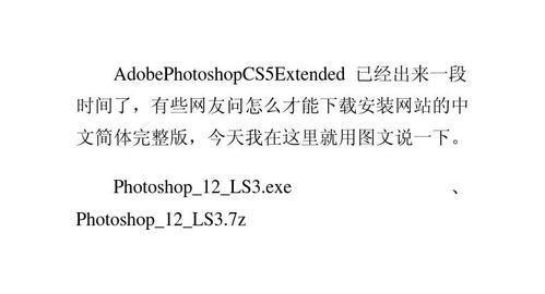 详细步骤指南：如何安装Adobe CS5