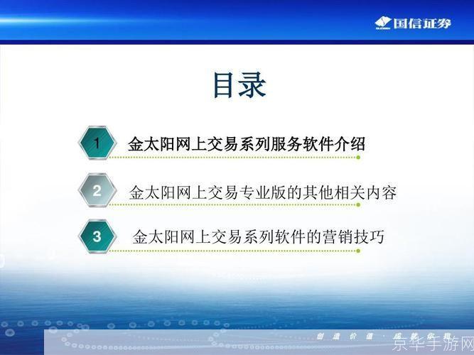国信金太阳软件使用指南