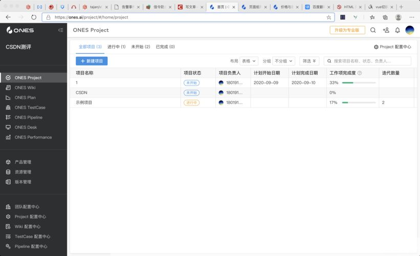ones中文版: Ones中文版：实现高效、便捷的项目管理