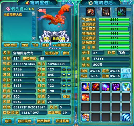 探秘梦幻诛仙宠物世界：捕捉、培养、战斗一站式攻略