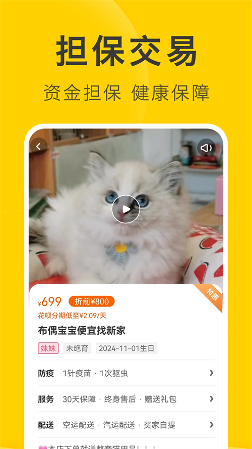 买只宠物