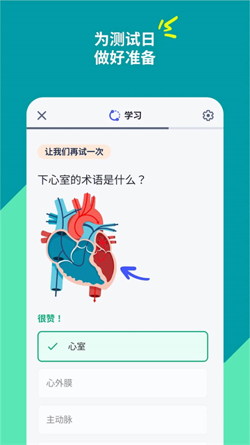 Quizlet安卓版