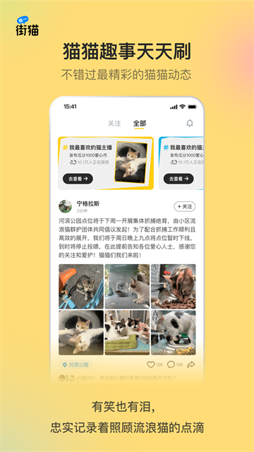 哈啰街猫