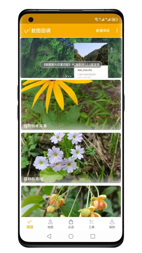 数图田调