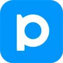 p站
