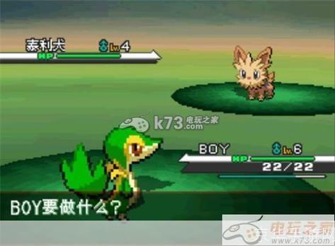 口袋妖怪黑白汉化版: 口袋妖怪黑白汉化版：探索未知的冒险之旅
