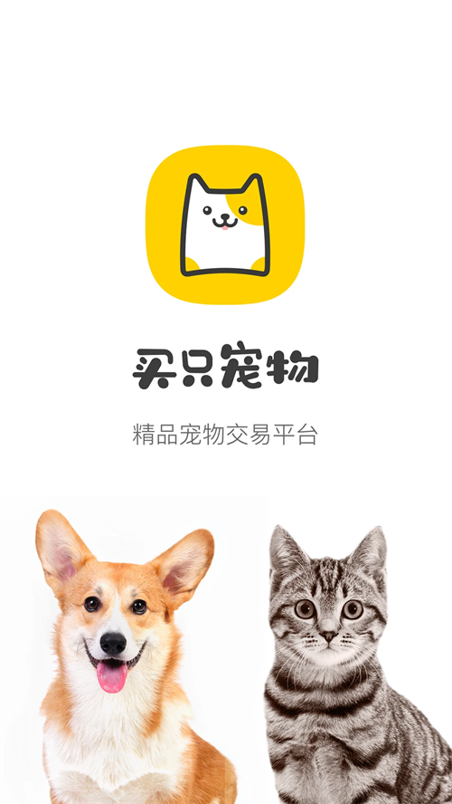 买只宠物