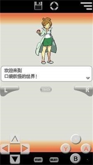 口袋妖怪白2中文汉化