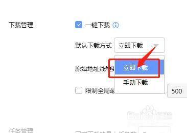 迅雷使用指南：如何高效下载和管理文件