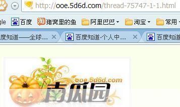 南瓜园电影安装指南