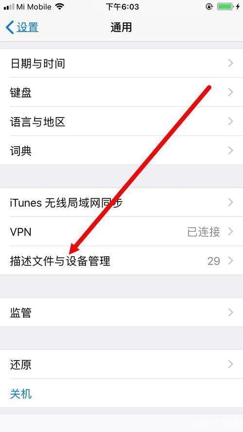 详细步骤指南：如何在iOS设备上安装迅雷