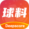 球料网