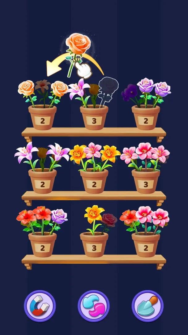 花朵整理