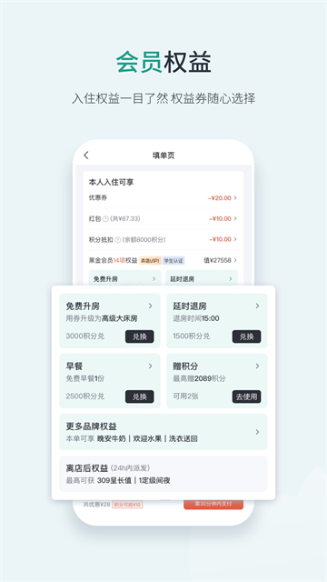 东呈青猫会
