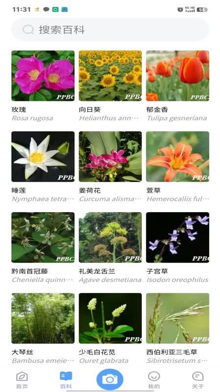 花伴侣专业版