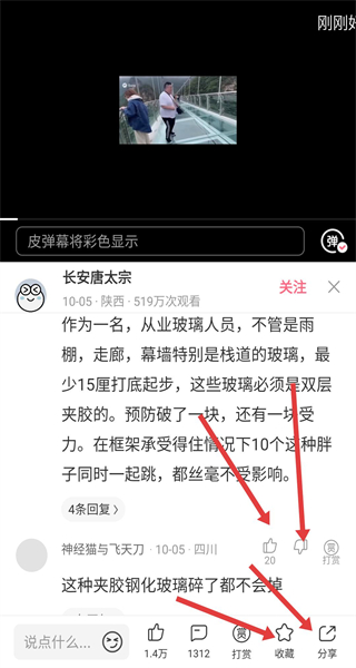 皮皮虾
