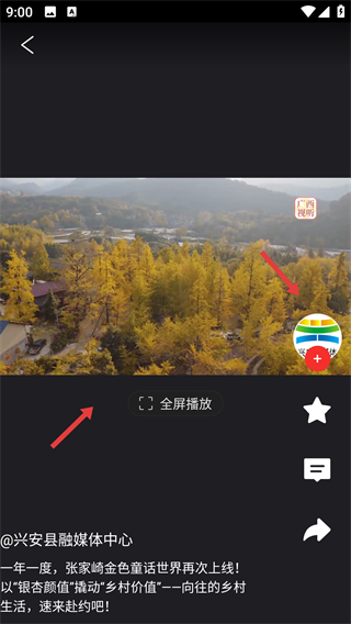广西视听