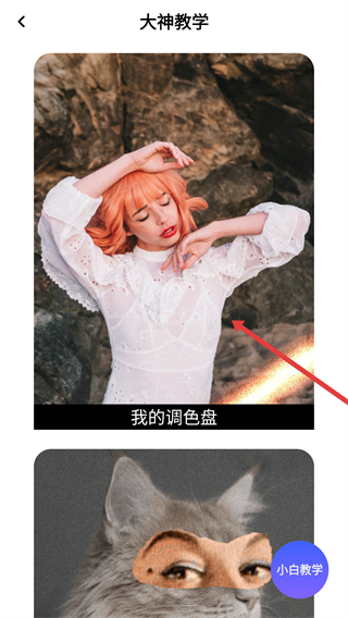 P图大师免费版