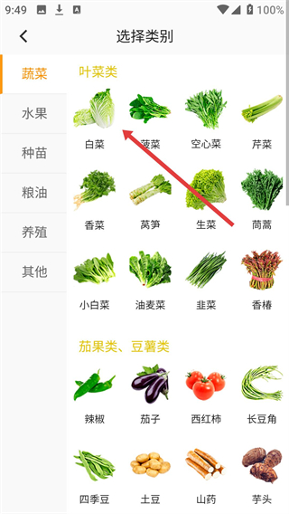 绿果网