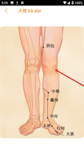 经络养生