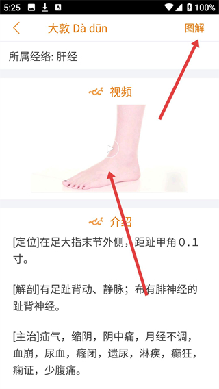 经络养生