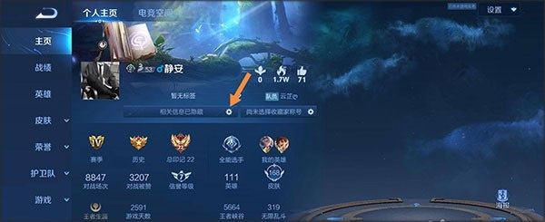 王者荣耀前瞻版