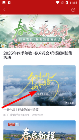 中国视听