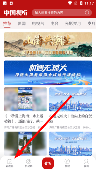 中国视听